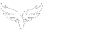cls logo white